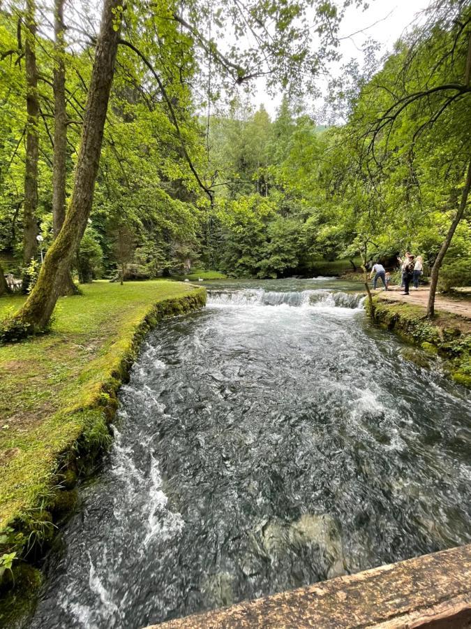 Apartman Magnolia Sarajevo Luaran gambar